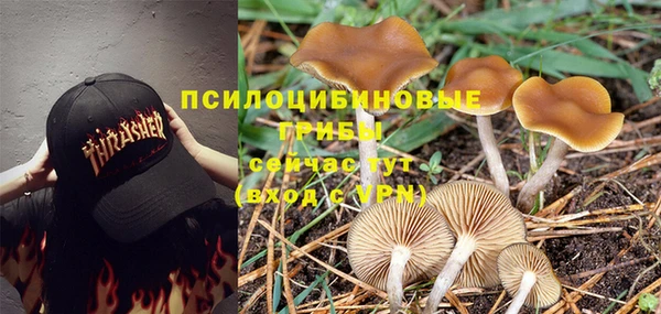 прущий лед Дмитров
